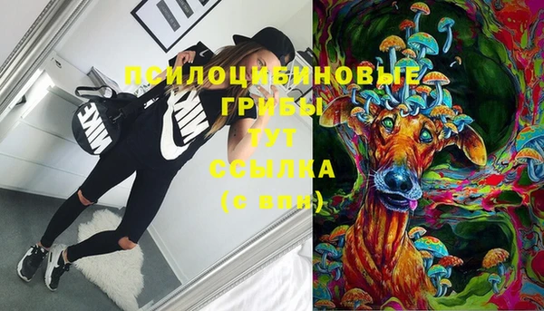 Альфа ПВП Беломорск